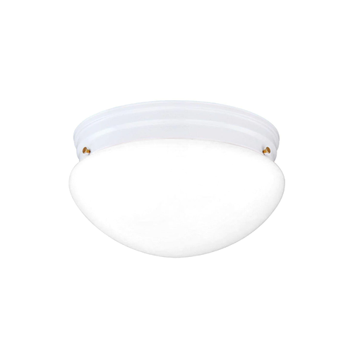 Ceiling Light