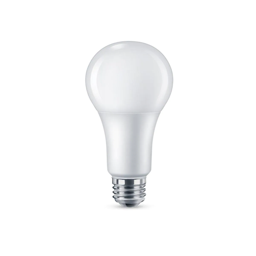 Light Bulb